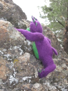 Harvey climbing rocks